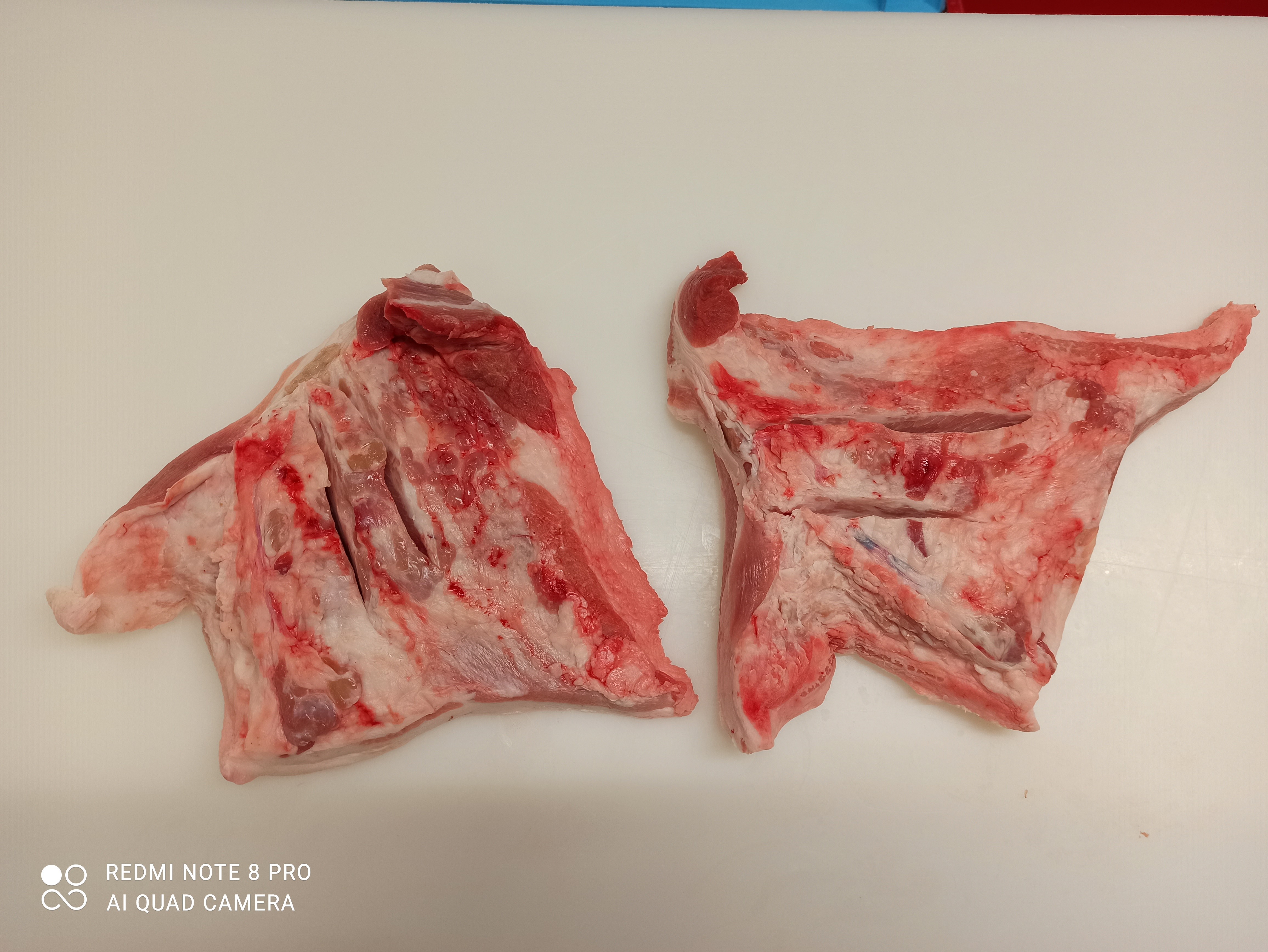 Jowl withneck fat with control cut rind less (Porcine: Pork)
