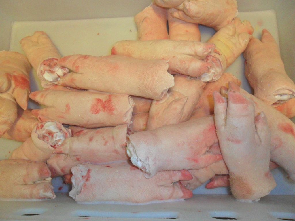 Front feet (Porcine: Pork)