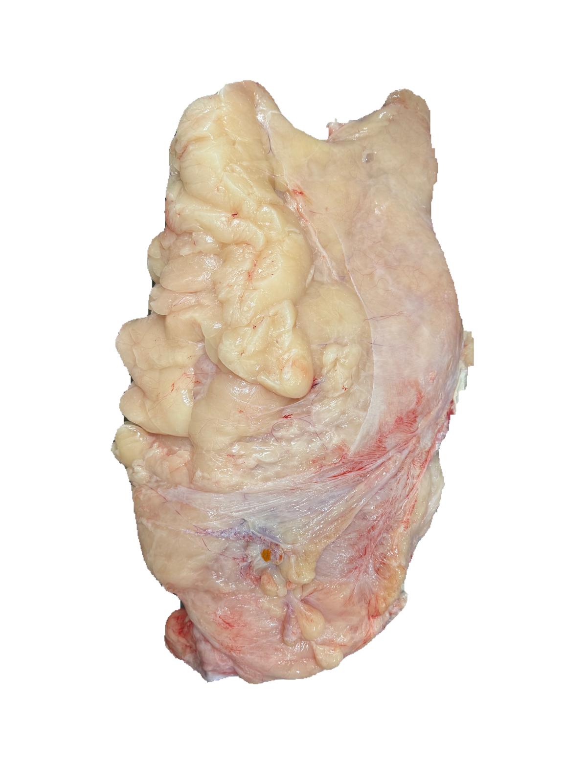 Internal fat outter white (Bovine: Cow)