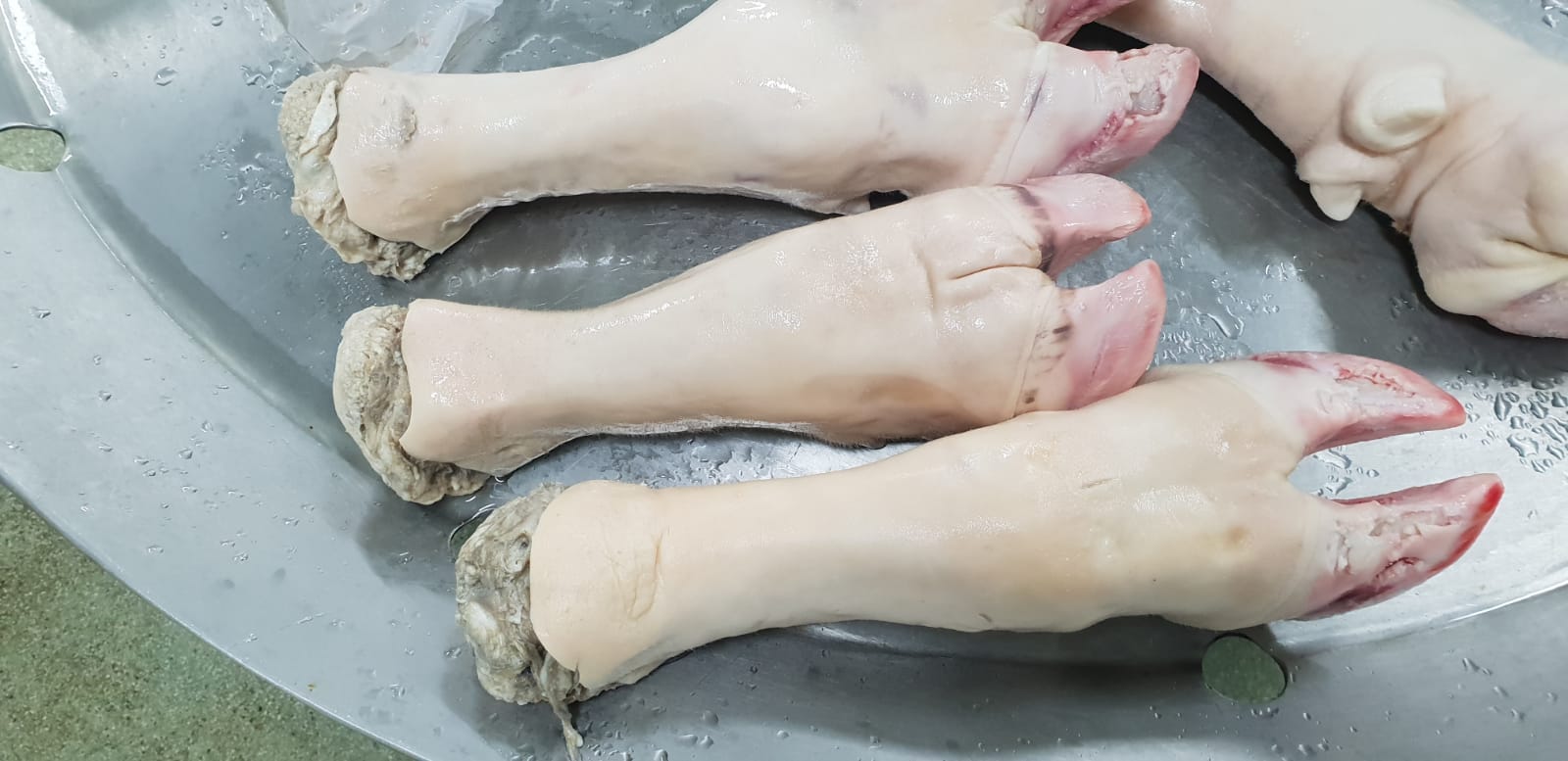 Feet long cut white (Bovine: Cow)